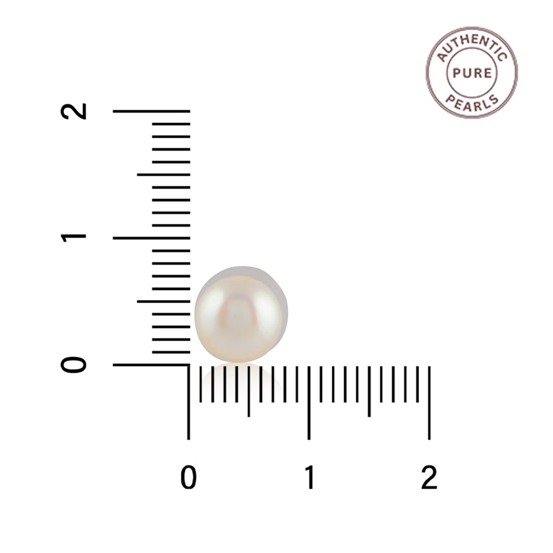 Classic Cream Pearl Studs (Freshwater Pearl Stud Earrings )