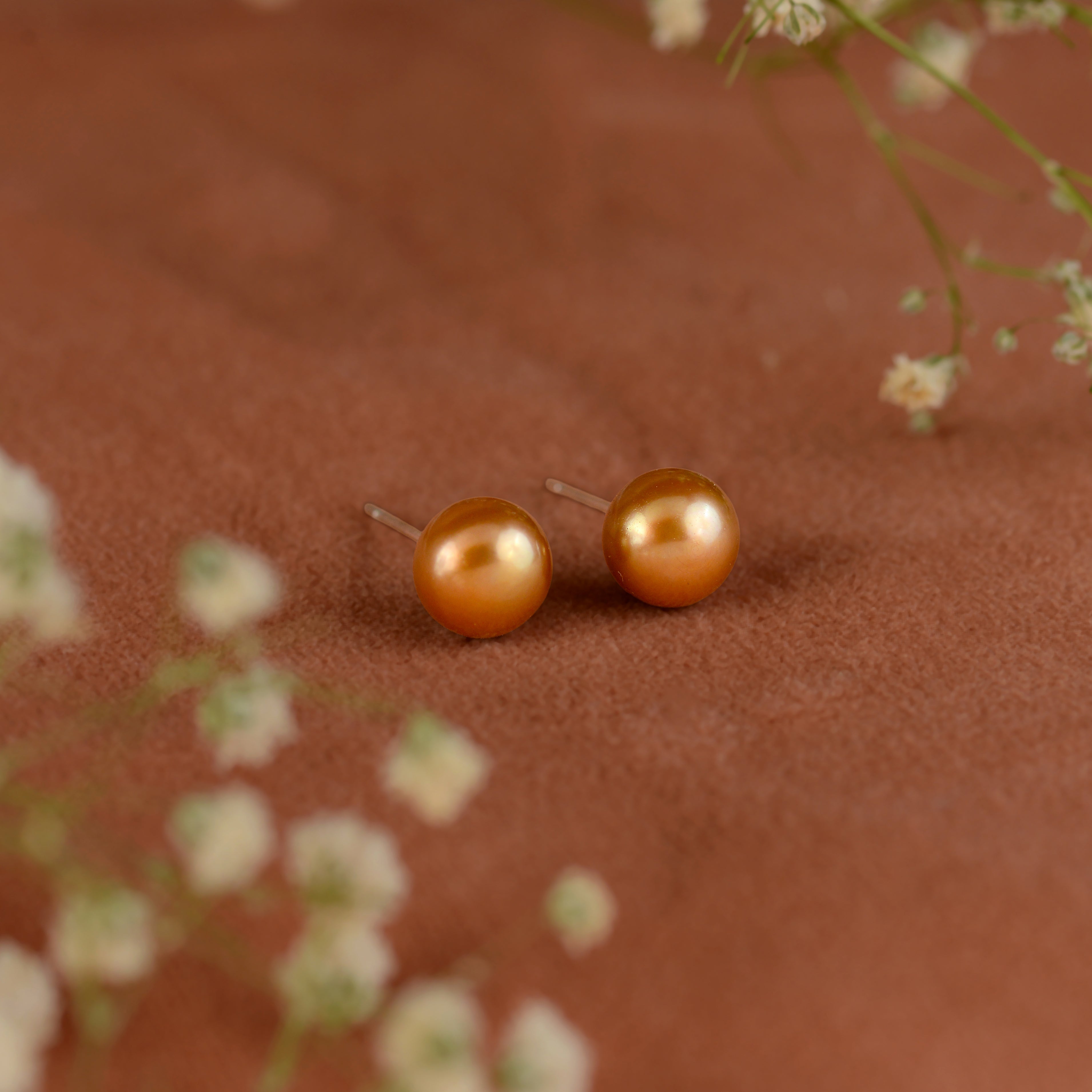 Brown Fresh water Pearl Earstuds in Silver