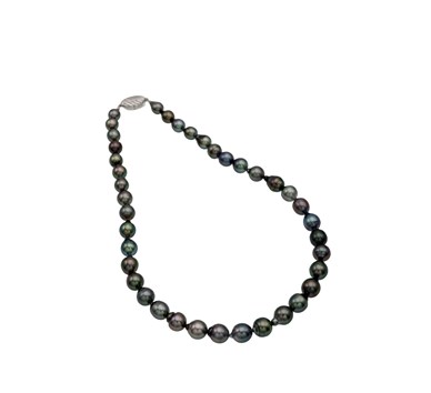 Tahitian Grey Pearl Necklace String